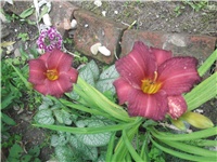 c69fdf7a-Picture 020.jpg